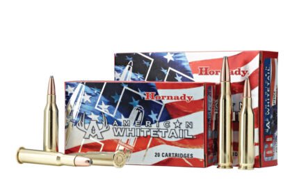 243 Winchester Ammo 100gr InterLock BTSP Hornady American Whitetail (8047) 20 Round Box